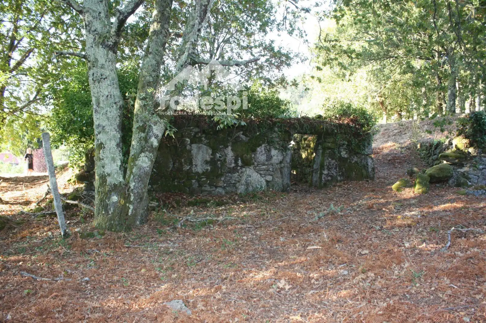 Lands and plots for sale in Mondariz