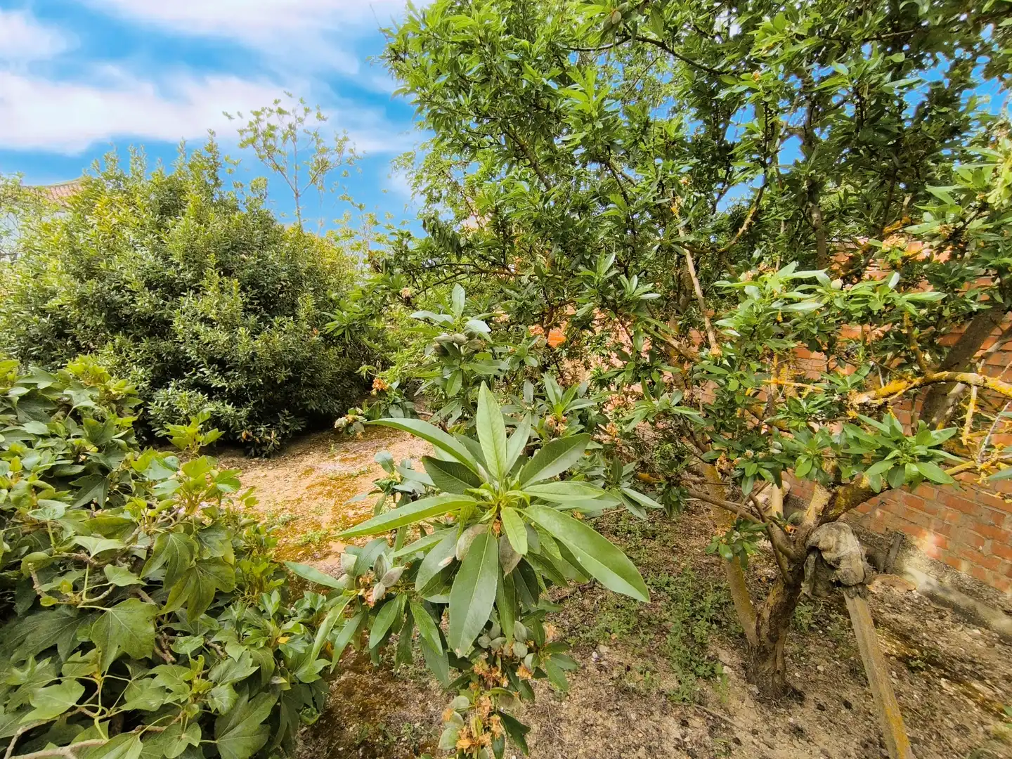 Jardí de Casa o xalet en venda en Pedraza de Campos amb Calefacció, Jardí privat i Traster