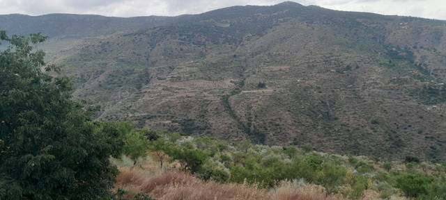 Terreno en Venta en Calle Carretera de Almeria en Sierro