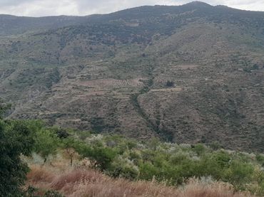 Terreno rústico en venta en Calle Carretera de Almeria