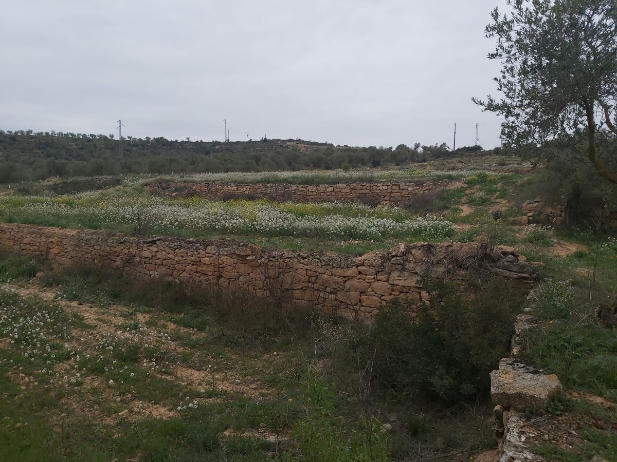 Country house zum Verkauf in Maials