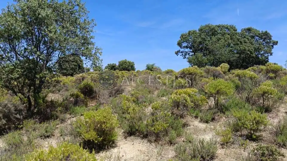 Terreno en venta en La Torre de Esteban Hambrán
