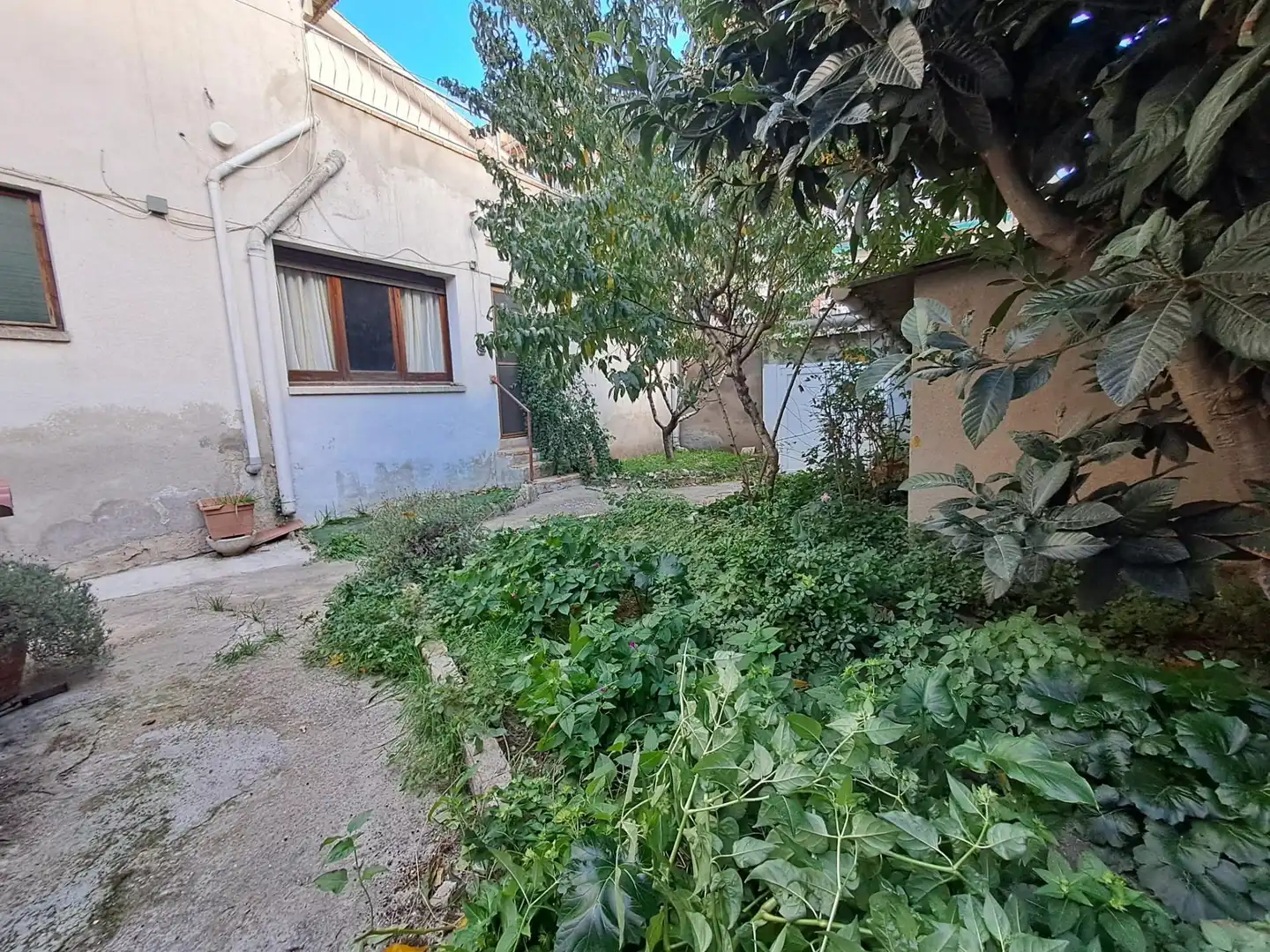 Jardí de Casa o xalet en venda en Sabadell amb Aire condicionat, Jardí privat i Terrassa