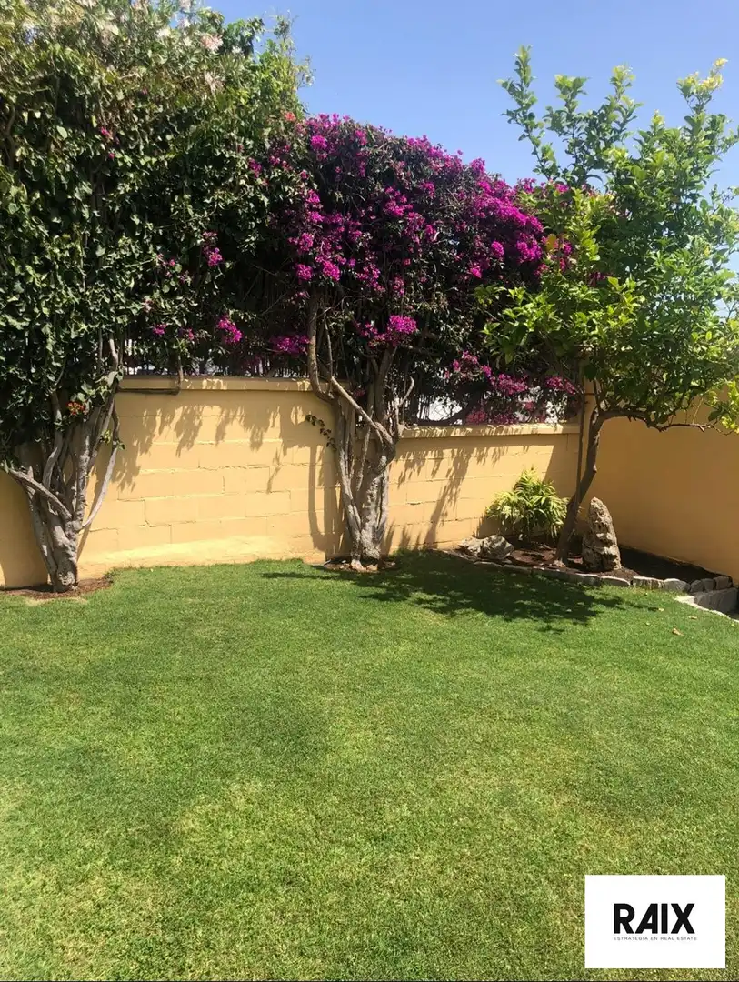 Jardín de Casa o chalet en venta en Algeciras con Calefacción, Terraza y Trastero