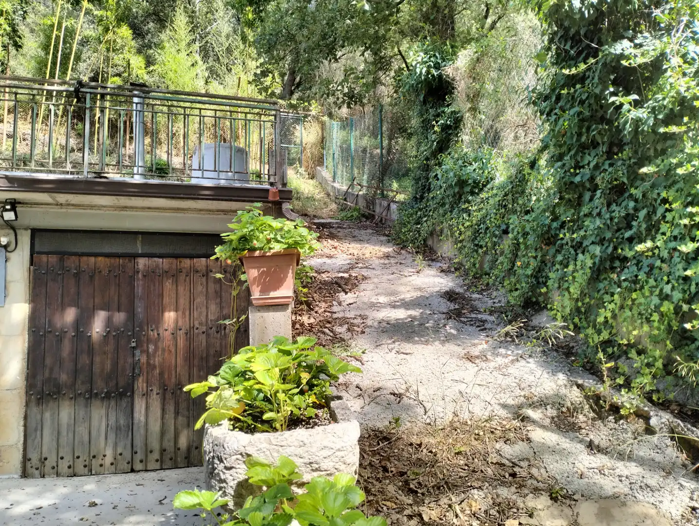 Jardí de Casa o xalet en venda en Cervià de Ter amb Jardí privat, Terrassa i Balcó