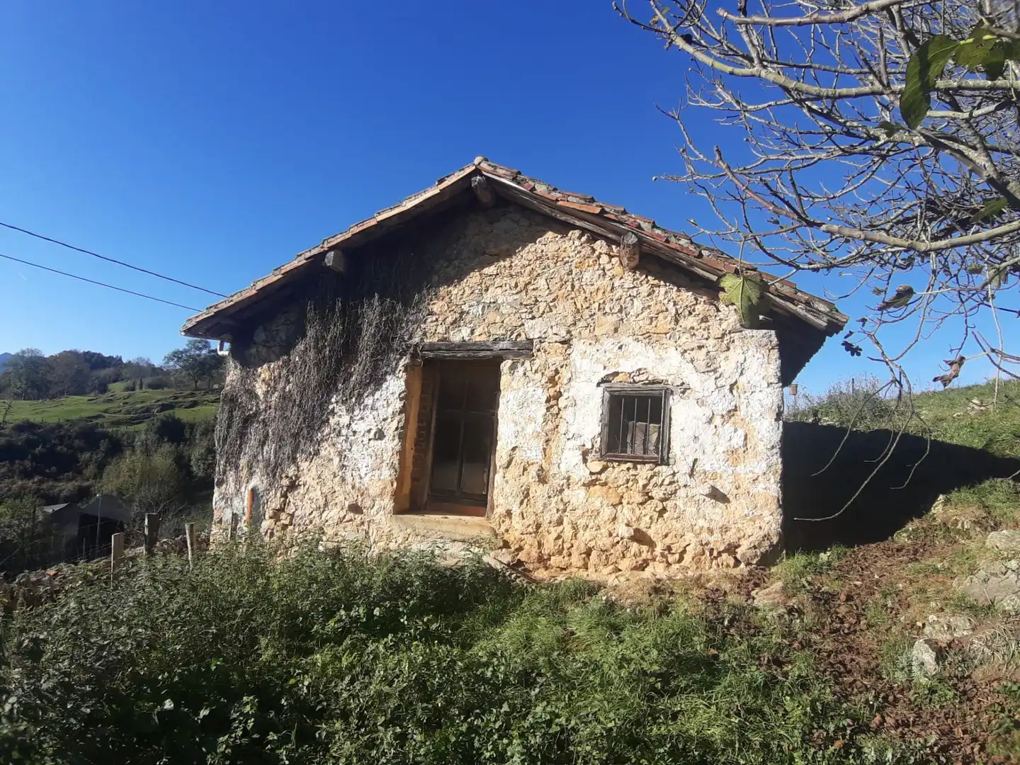 Vista exterior de Casa adosada en venta en Cabranes