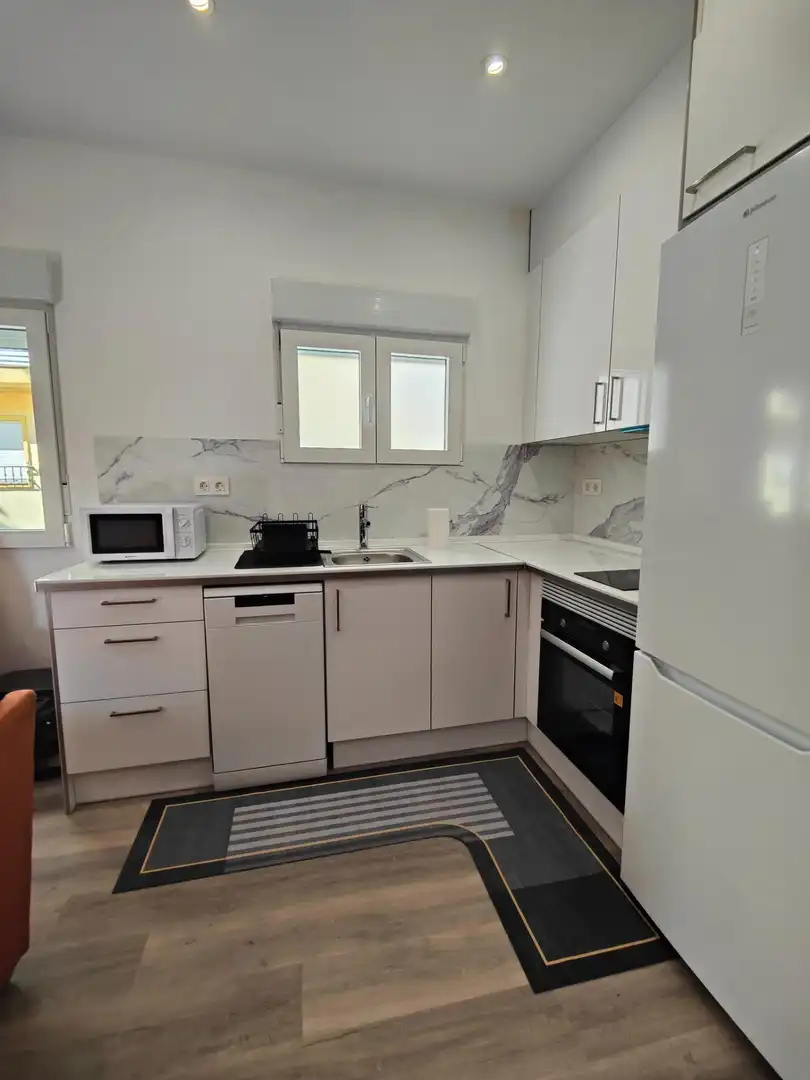 Kitchen of Apartments for rent in Granada  with Air Conditioner, Heating and Furnished