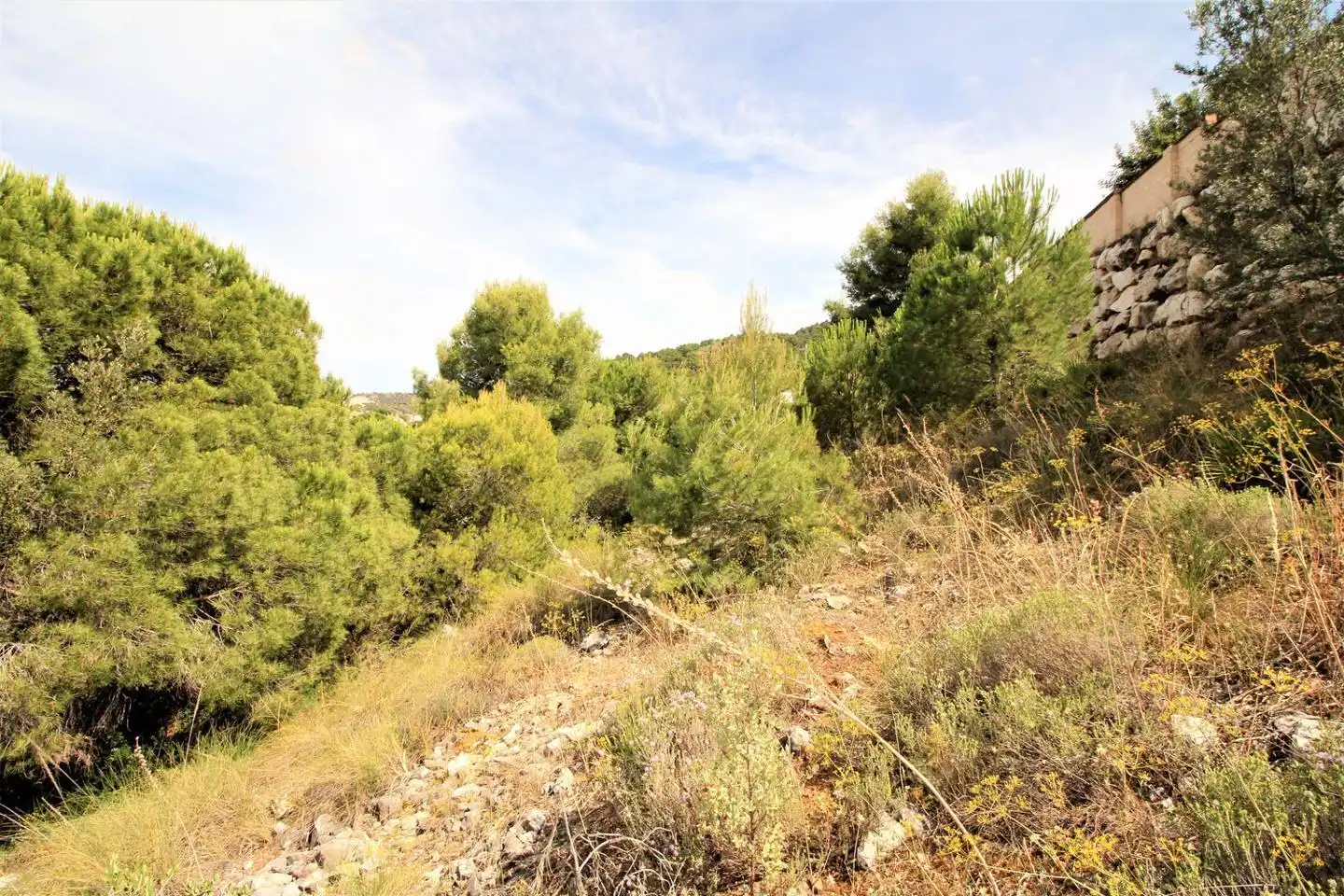 Terreni e lotti in vendita a Pinos de Alhaurín - Periferia, imagen 19