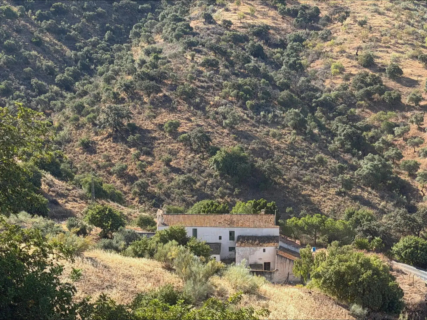 Vista exterior de Terreno en venta en Málaga