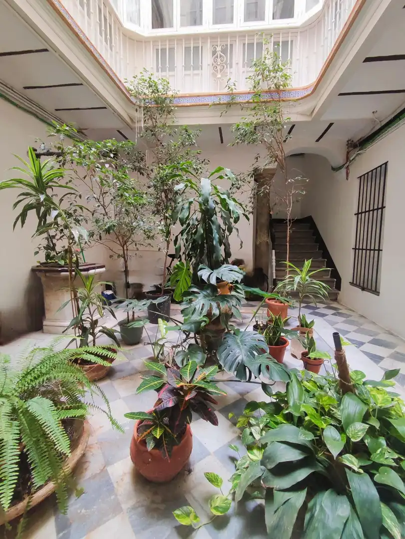 Jardín de Piso en venta en Cádiz con Aire acondicionado, Trastero y Amueblado