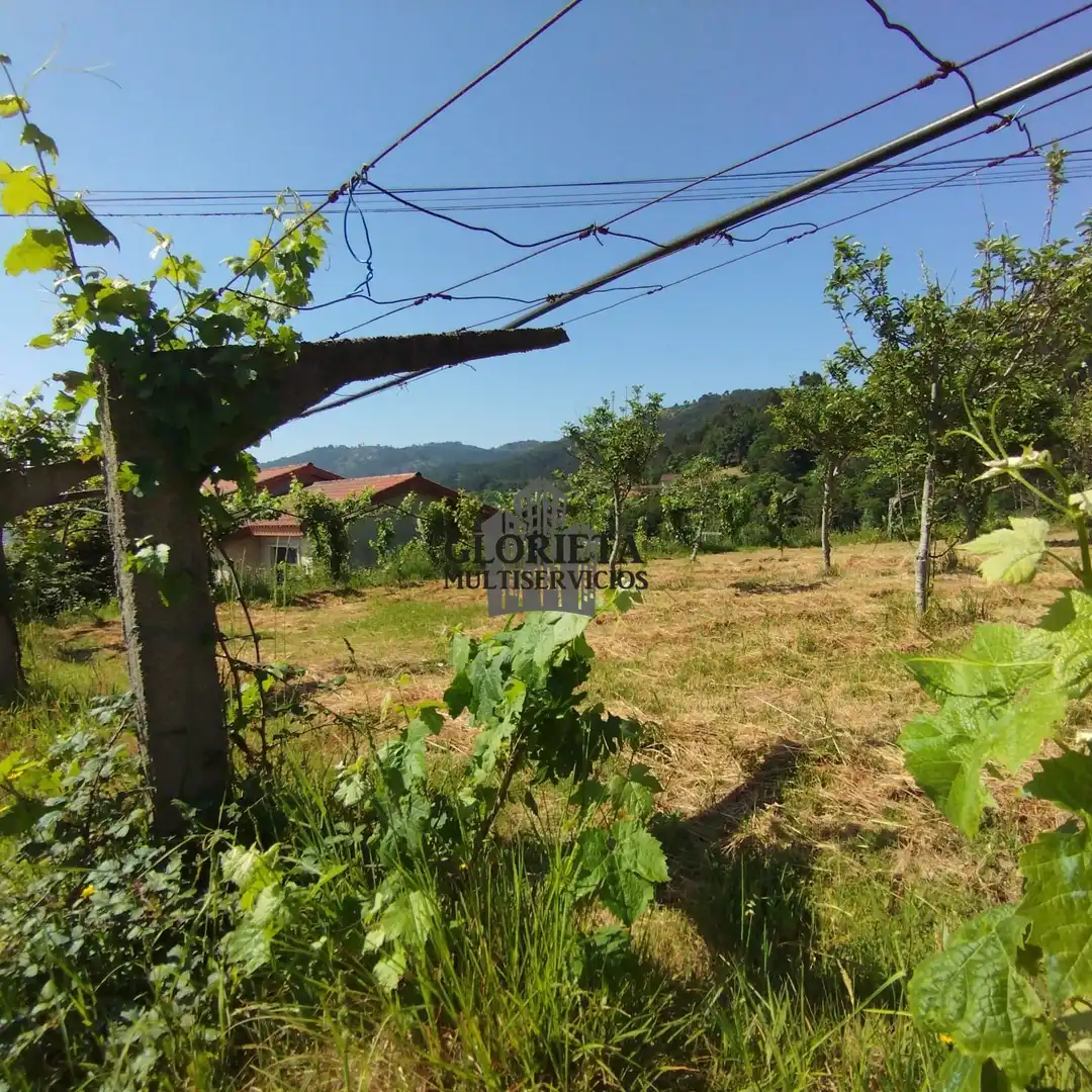Terreny rústic en venda a Escusa (A)-Chenlo, imagen 3