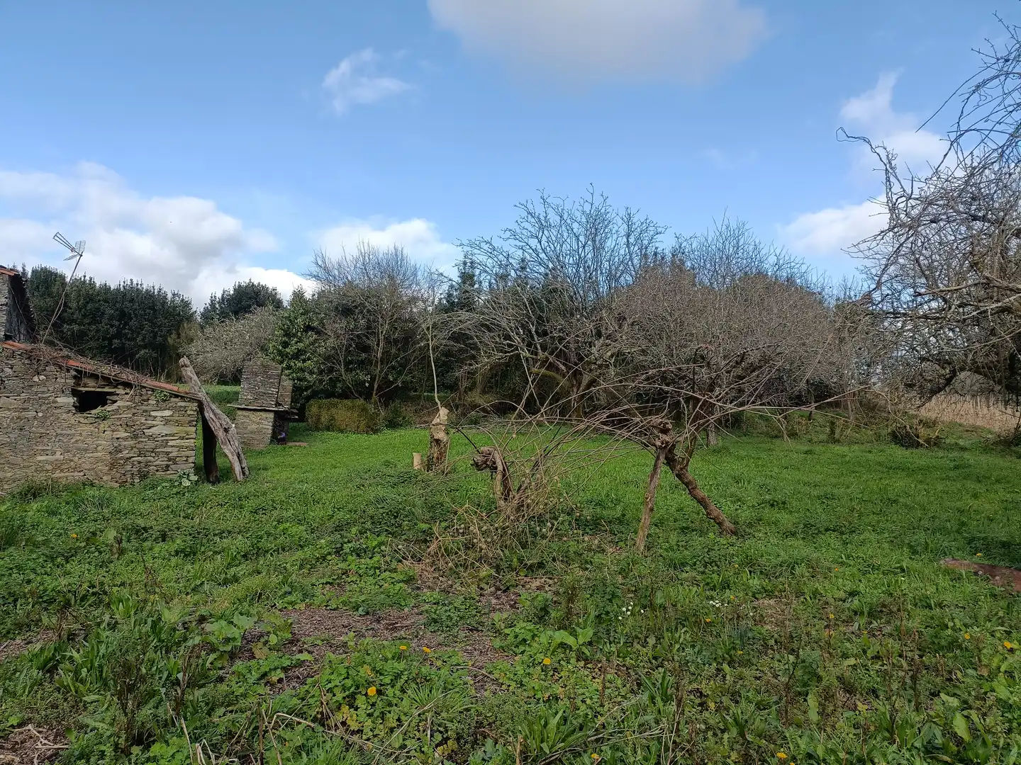 Casa o xalet en venda en Cesuras amb Jardí privat