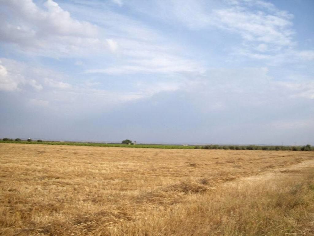 Land to rent in Socuéllamos