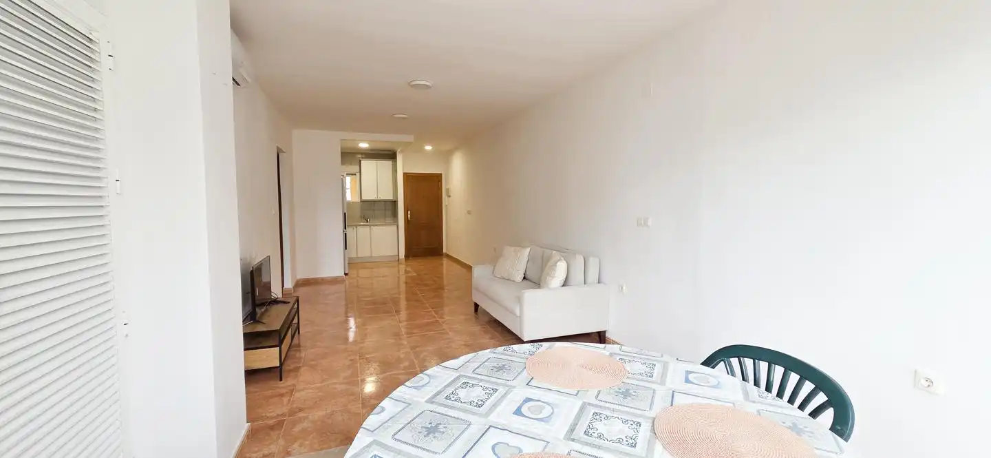 Living room of Flat for rent in Alicante / Alacant  with Furnished and Community pool