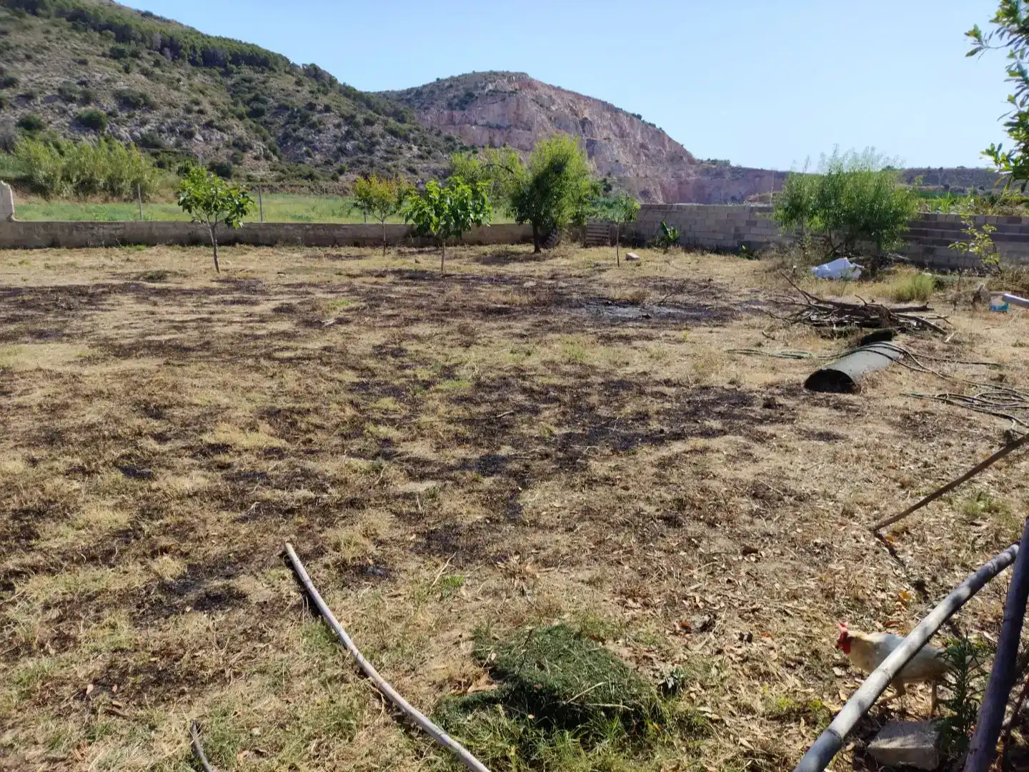 Casa o xalet en venda en Torrent amb Aire condicionat, Jardí privat i Traster