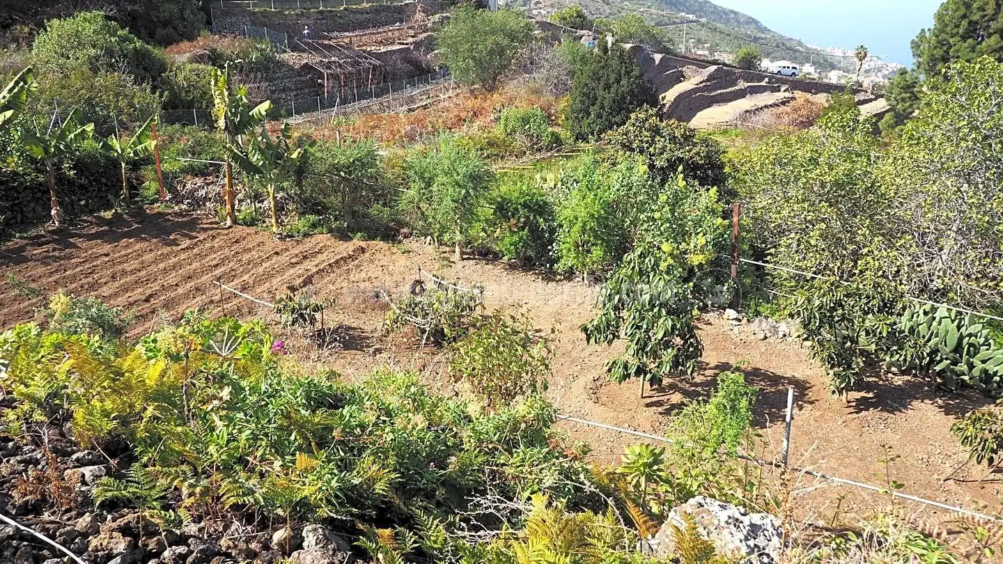 Maison rustique avec terrasse à vendre à La Vega - El Amparo - Cueva del Viento, imagen 31