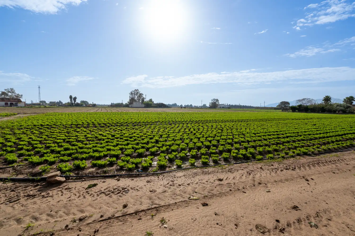 Rural land for sale in Carrer Raval de Fesol 51, imagen 6