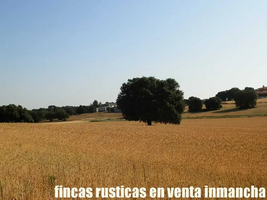Terreno en venta en Alcaraz