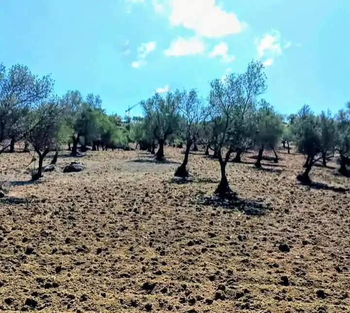 Terrenys i solars en venda a Coín, imagen 13