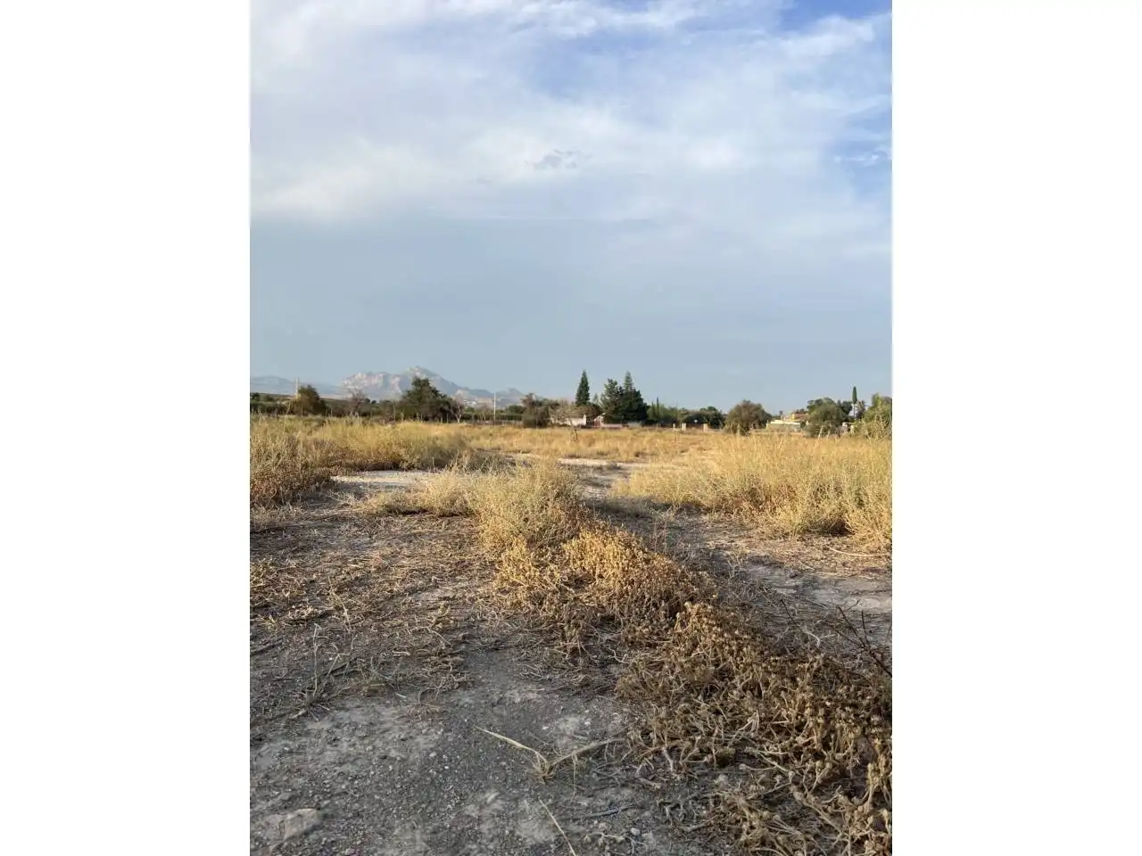 Finca rústica en venta en Mutxamel con Jardín privado