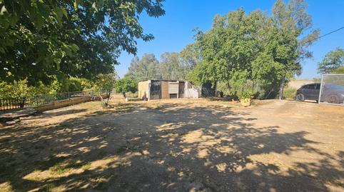 Photo 5 of Country house for sale in Nueva Alcalá, Sevilla
