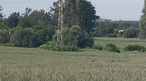 Foto 3 de Terreno en venta en Poligono Industrial Peguerillas, 1, La Orden, Huelva Capital