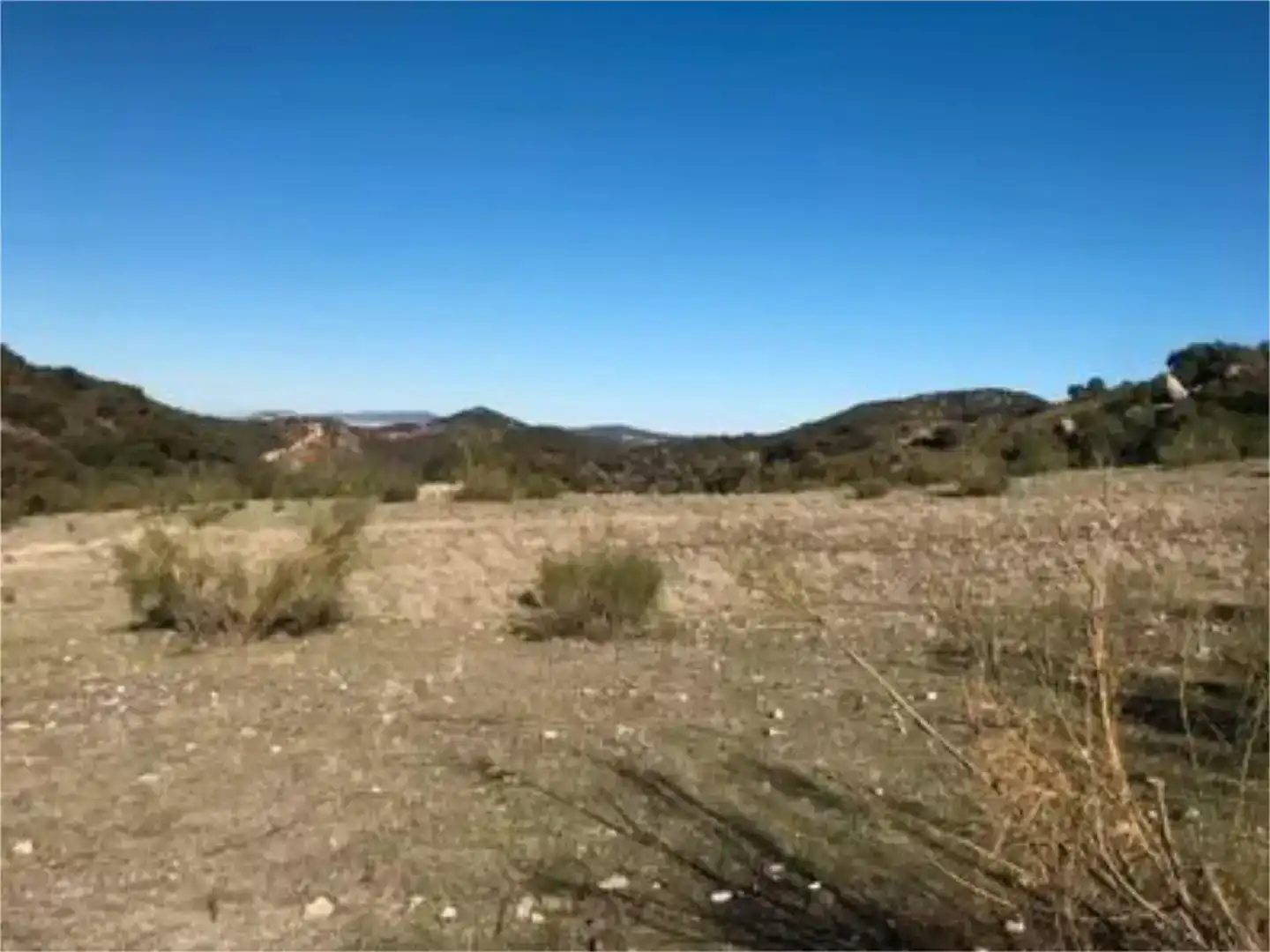Finca rústica en venda en Algodonales