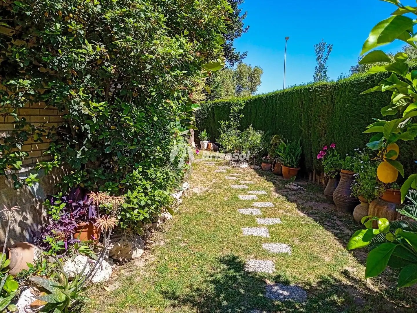 Garden of Houses for sale in Cambrils  with Heating, Private garden and Terrace