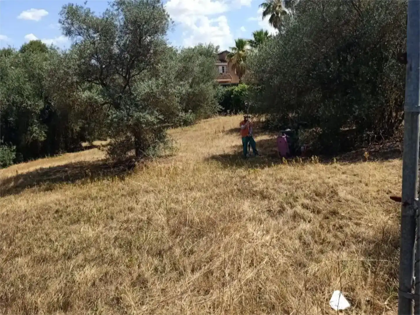 Finca rústica en venda en Gelves
