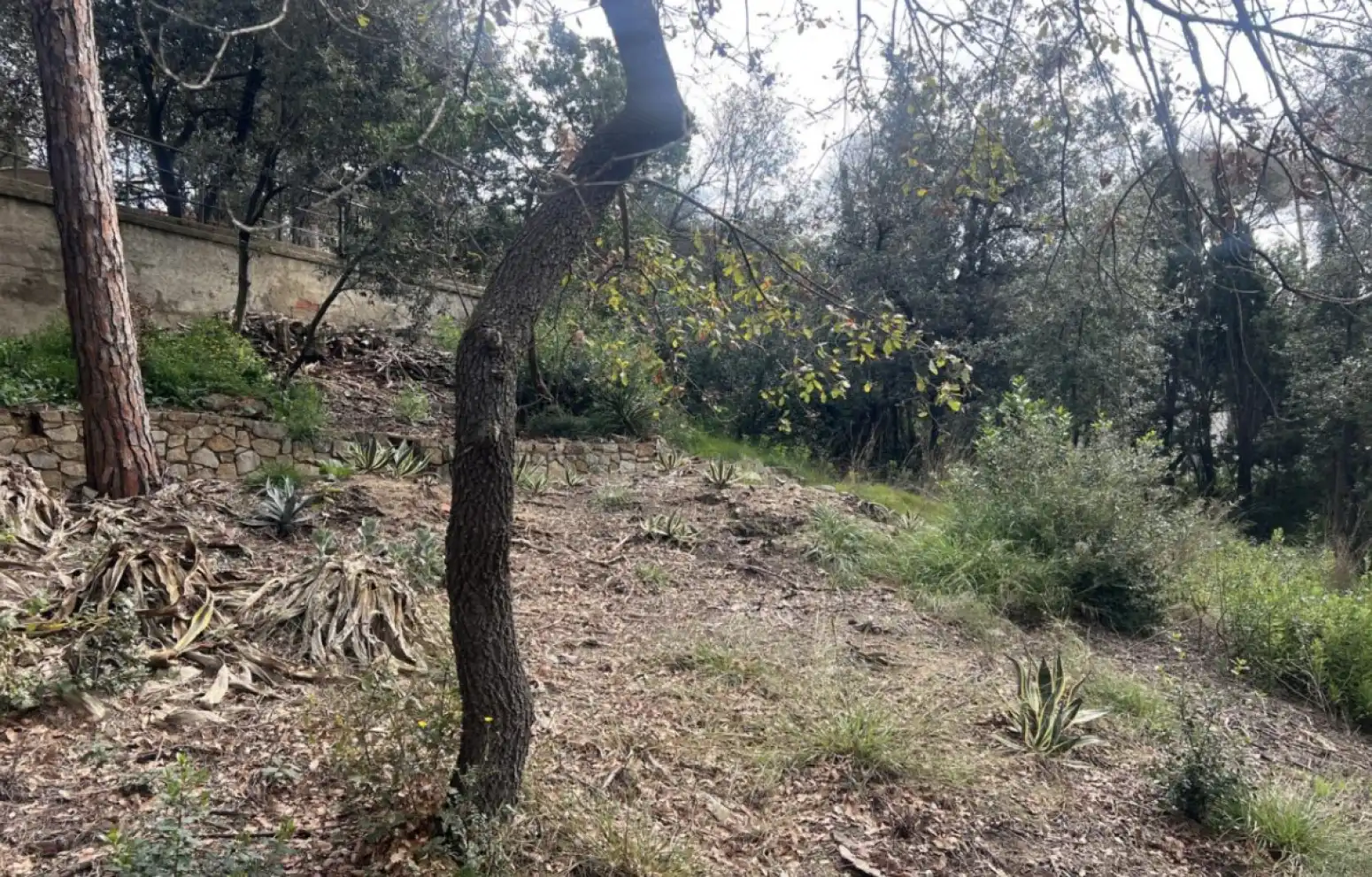Terreno residencial en venta en Argentona - UR DE CAN CABOT