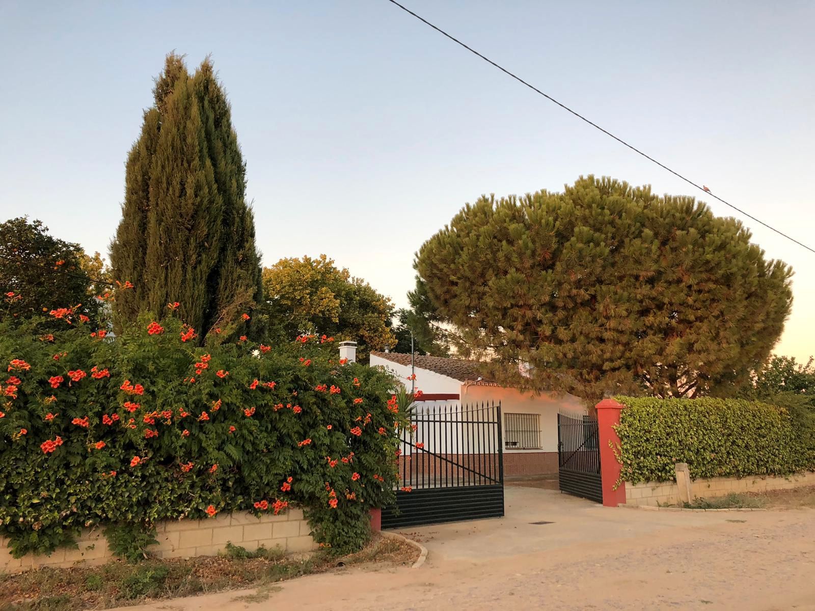 Land for sale in Carretera de Valdelacalzada-Puebla de la Calzada, 15, Valdelacalzada