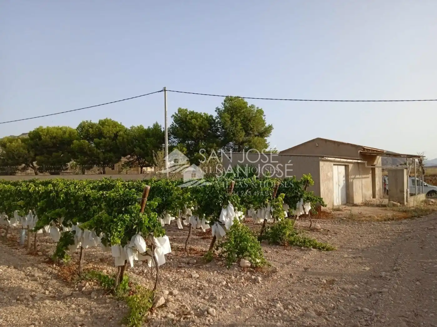 Rural land for sale in Novelda, imagen 3