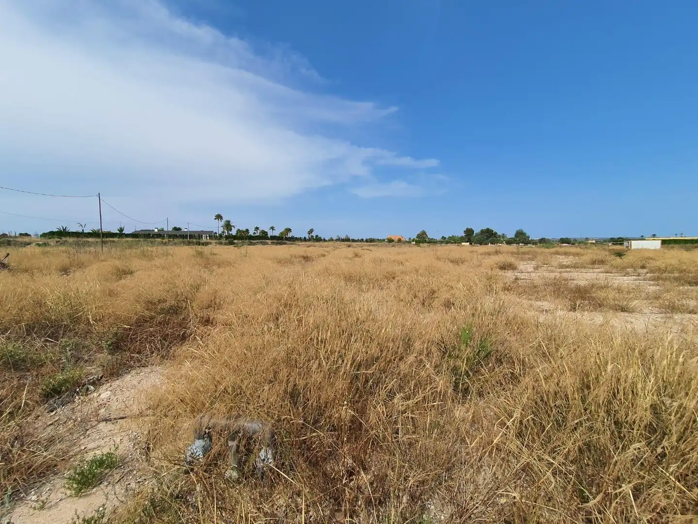 Terrain rustique à vendre à Elche ciudad, imagen 10