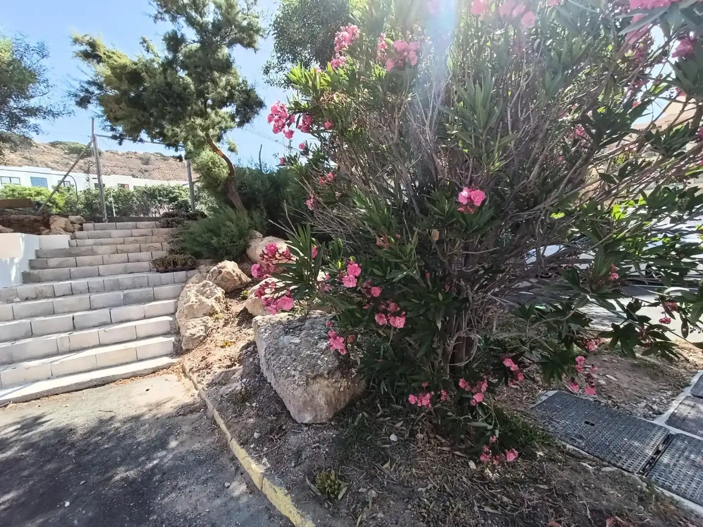 Jardí de Pis de lloguer en El Ejido amb Aire condicionat, Terrassa i Moblat