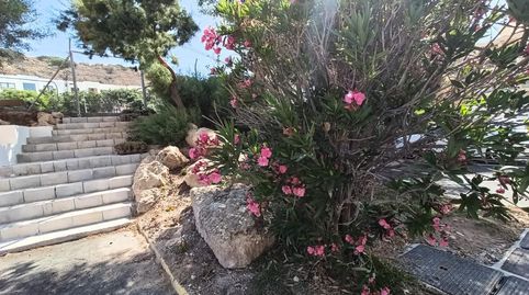 Foto 5 de Pis de lloguer a Almerimar, El Ejido