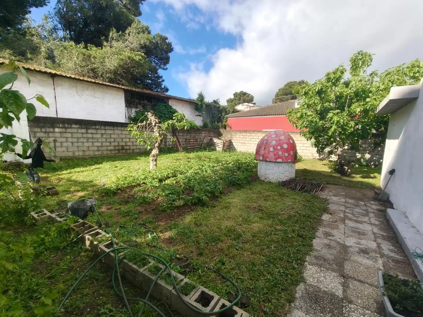 Jardí de Casa o xalet en venda en Chiclana de la Frontera amb Aire condicionat, Jardí privat i Traster