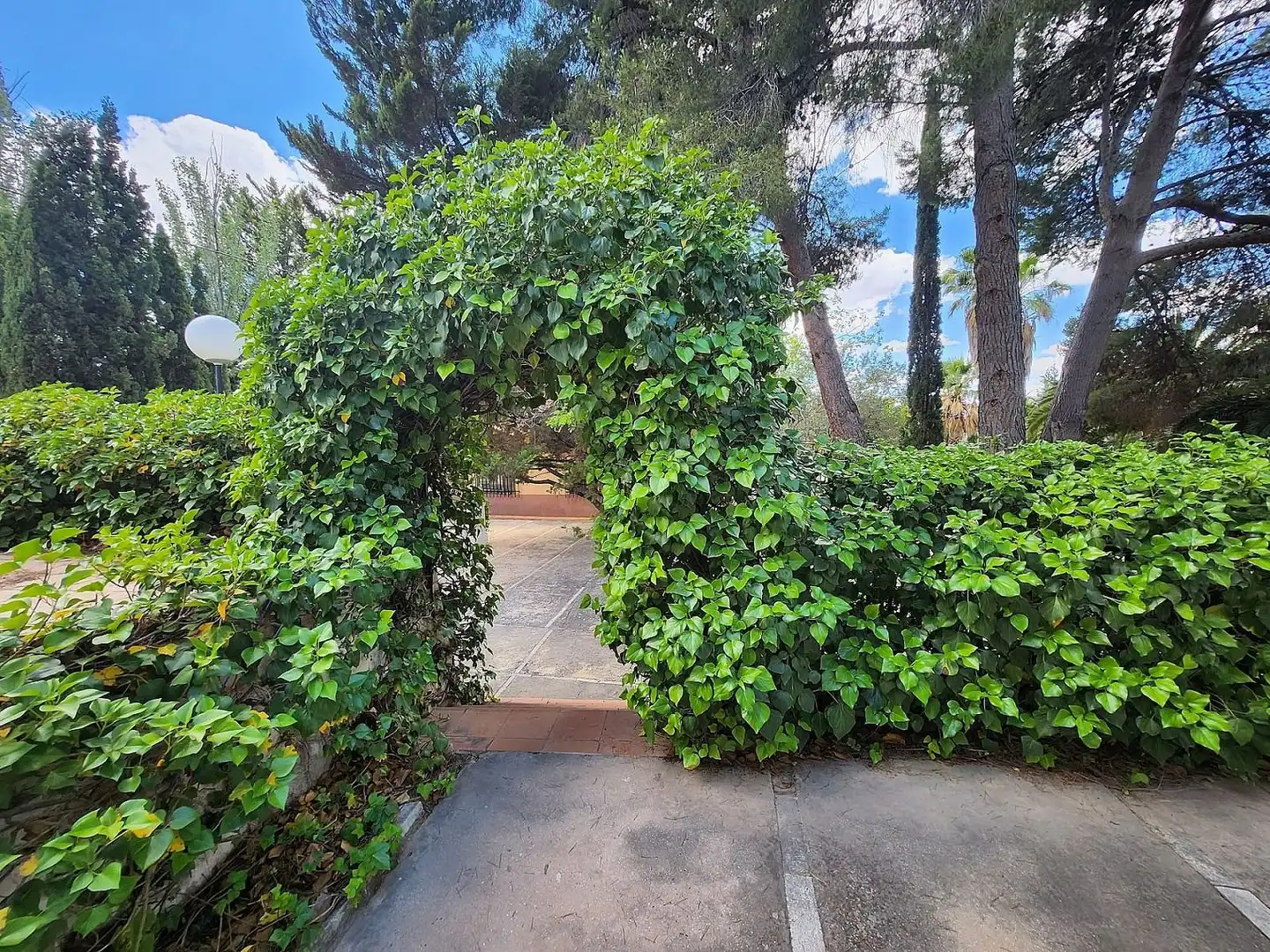 Casa en venta en Sax, imagen 16