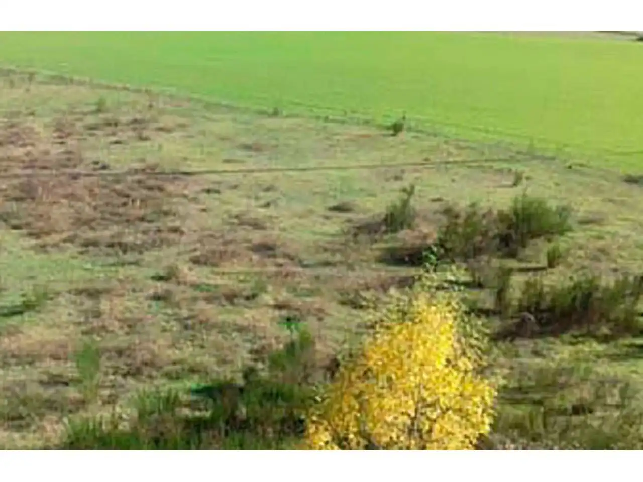 Terrain rustique à vendre à Calle PTDA LES FORQUES, imagen 5