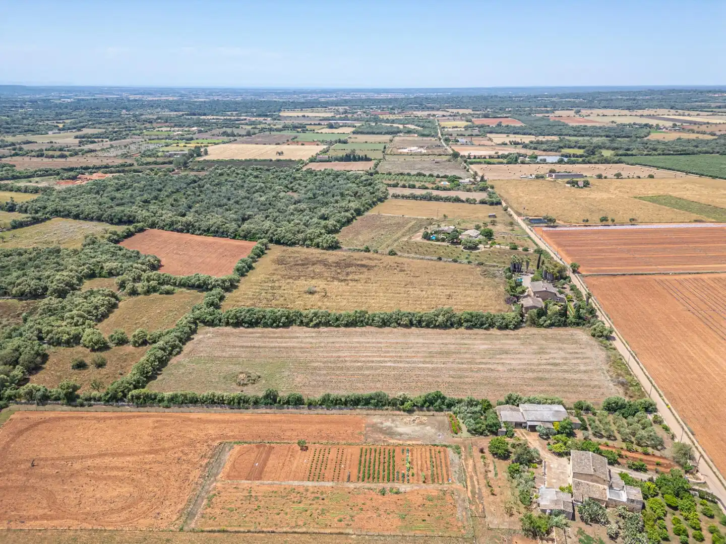 Rural land for sale in Felanitx Poble, imagen 25