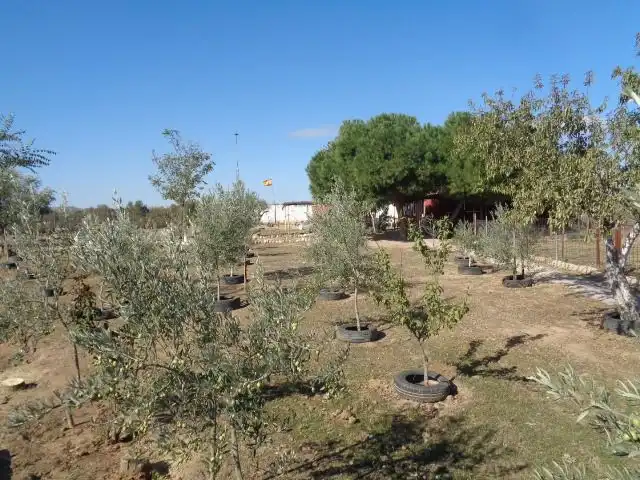 Garten von Grundstücke zum Verkauf in Talavera de la Reina