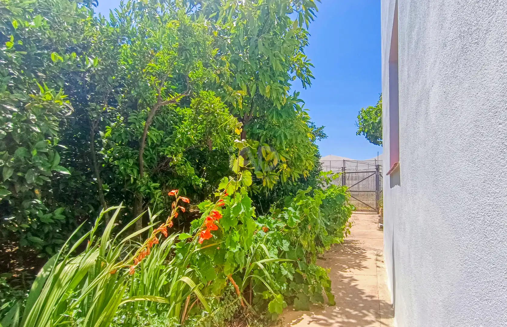 Jardín de Casa o chalet en venta en Albalat de la Ribera con Calefacción y Terraza
