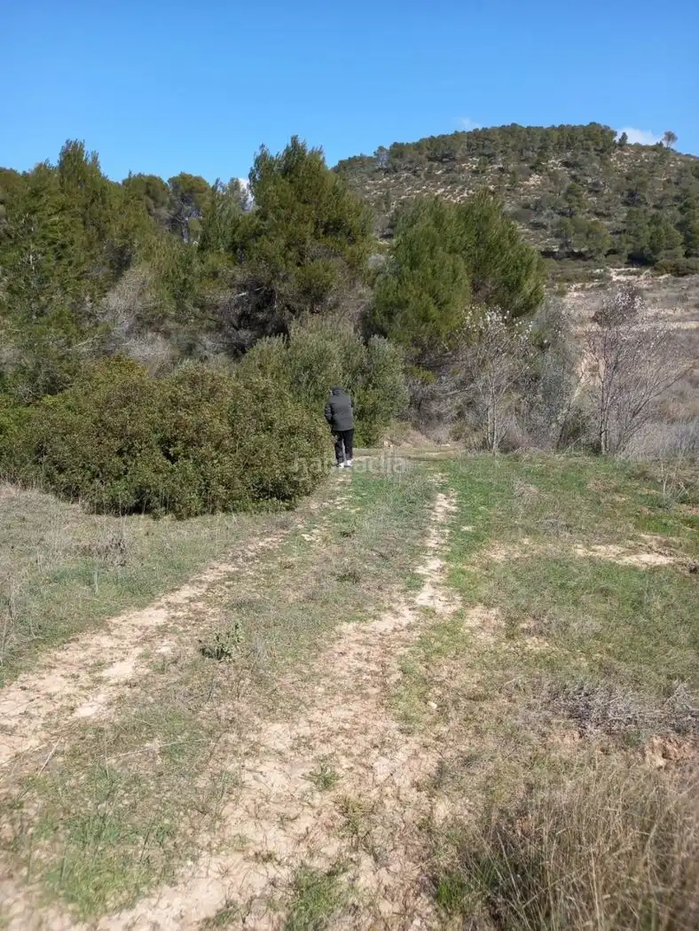 Rustikales Grundstück zum Verkauf in Carrer de l'Església 35, imagen 9