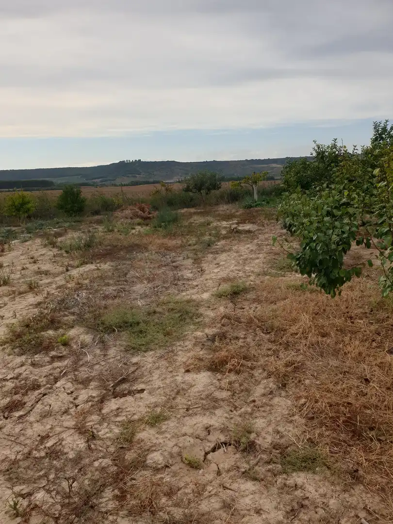 Houses for sale in  Logroño  with Private garden and Furnished