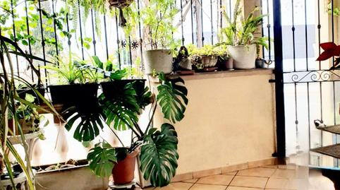 Photo 5 of House or chalet for sale in L'Olivera, Illes Balears