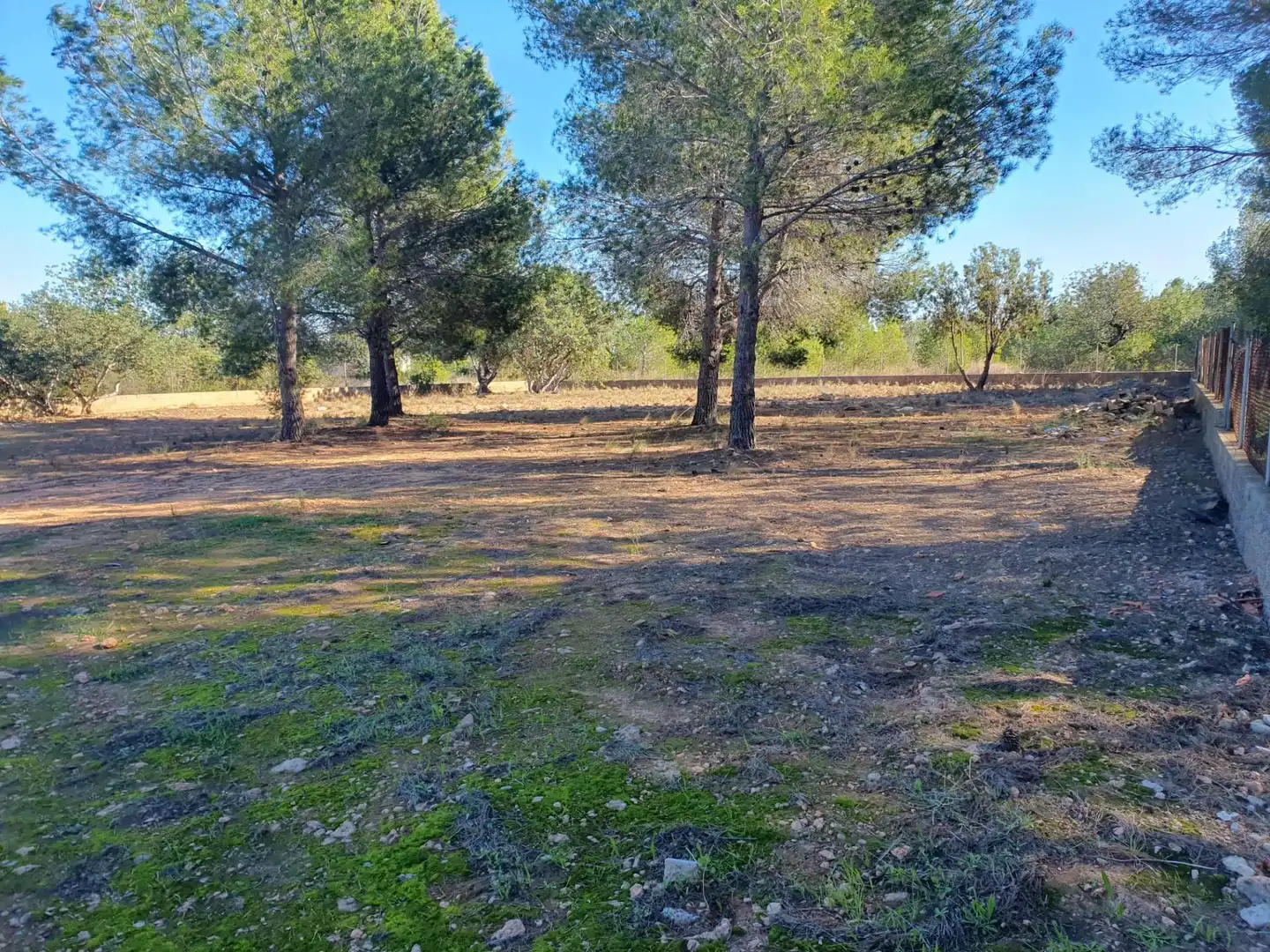 Wohnbaugrundstück zum Verkauf in Pla dels Aljubs, imagen 3