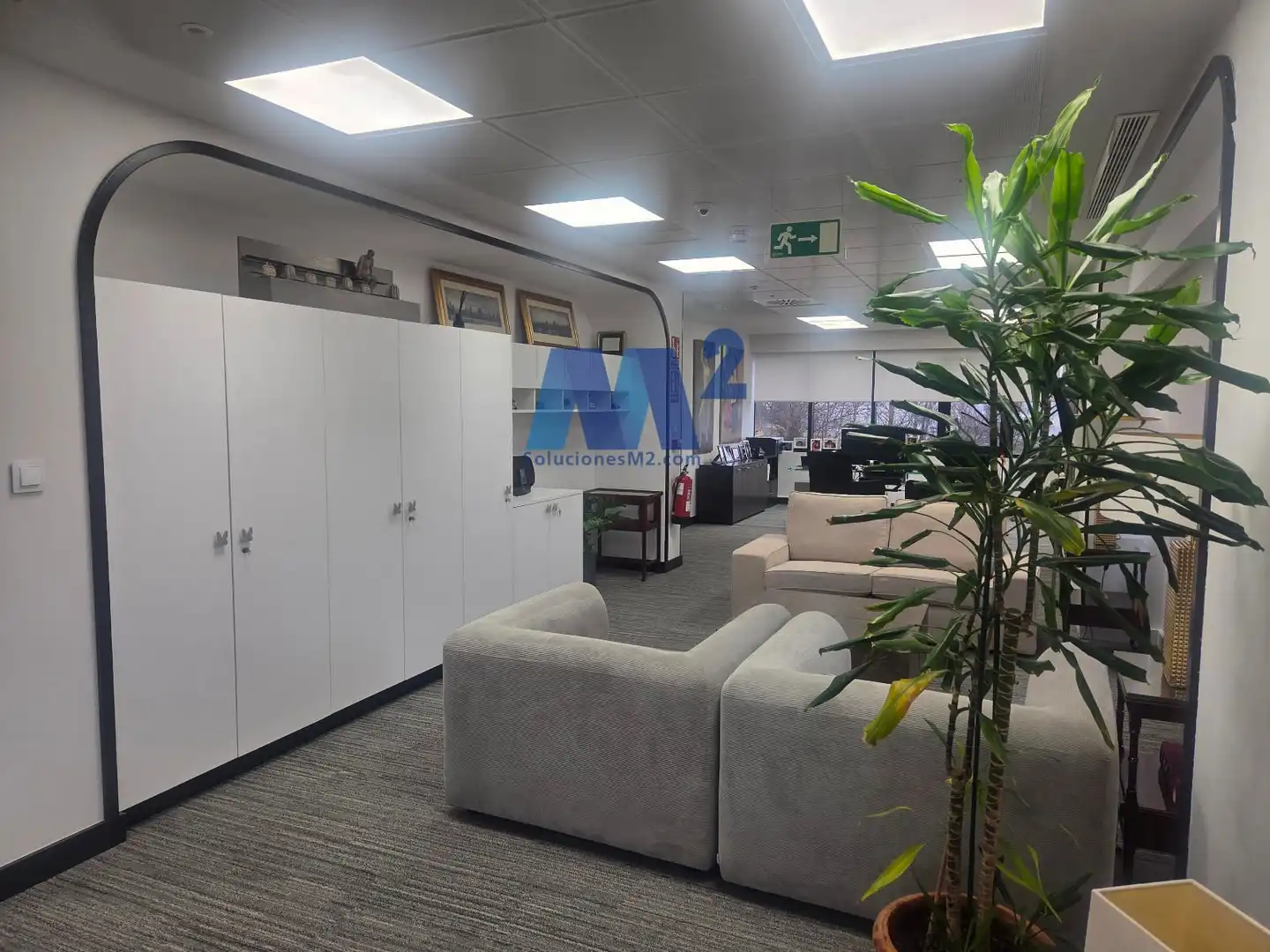 Office space to rent in Caléndula, imagen 22