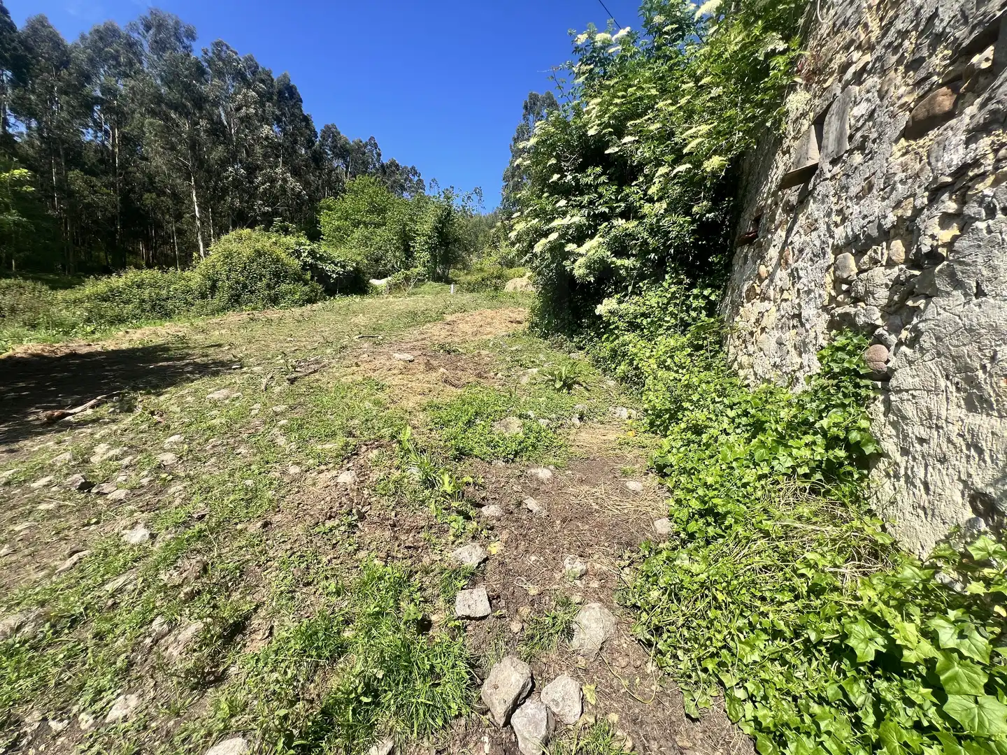 Detached homes for sale in Castrillón