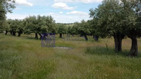 Foto 4 de Finca rústica en venda a N/a, Alcántara, Cáceres