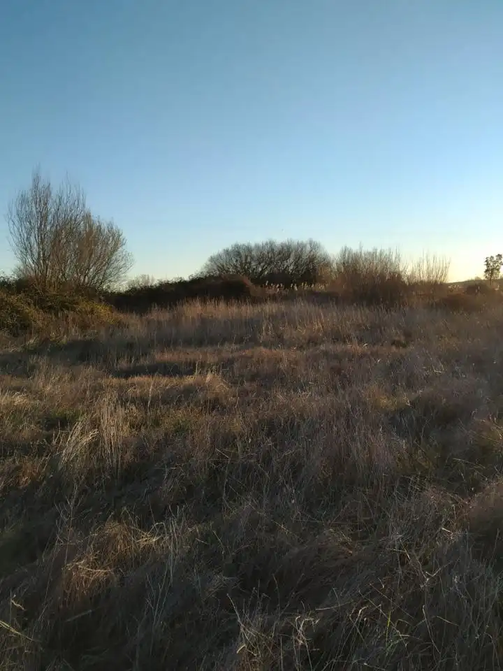 Terreni e lotti in vendita a De Plasencia, imagen 5