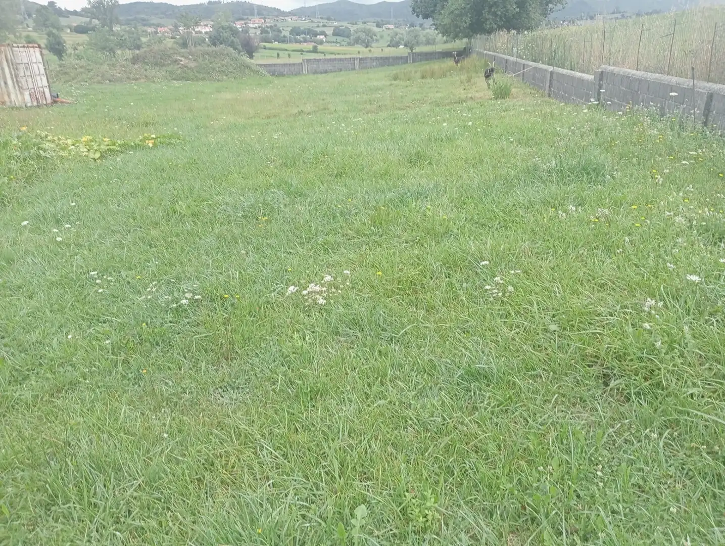 Rustikales Grundstück zum Verkauf in Penagos, imagen 7